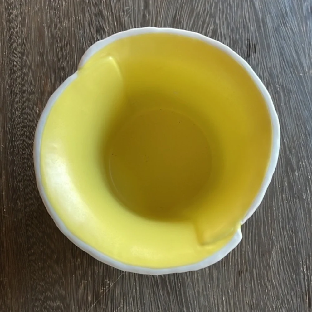 New🌟Anthropologie-Appoline Planter